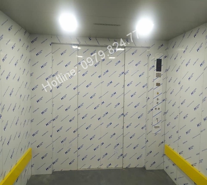 thang máy tải hàng phú mỹ